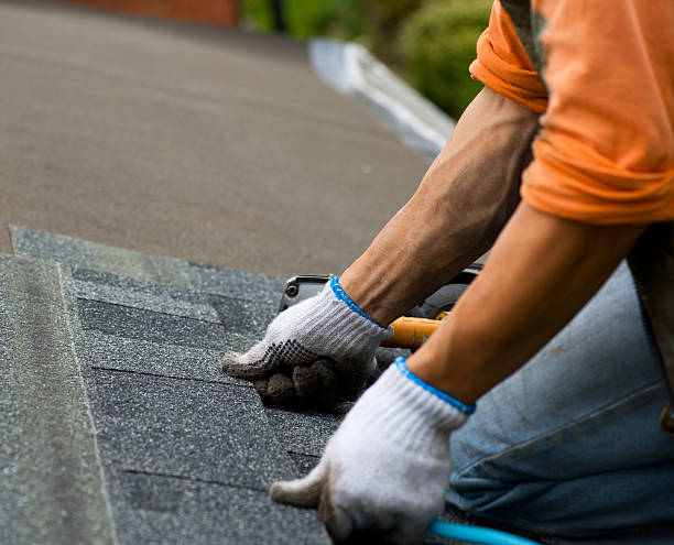 Roof Gutter Cleaning in Girard, PA